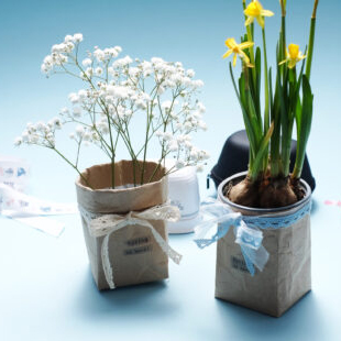 Spring awakening with our DIY flower pots for your plants